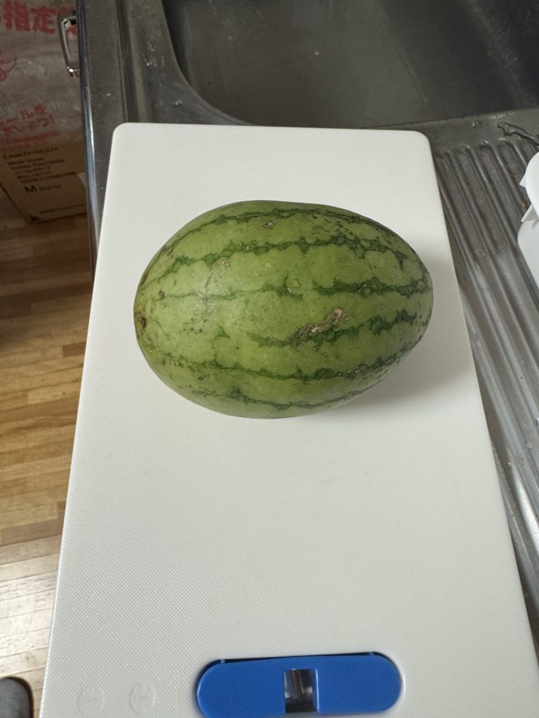 夏の味覚🍉